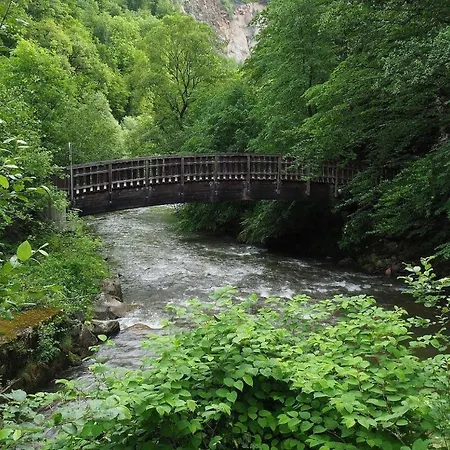 Biohof Laibacher Stubenberg Exterior photo