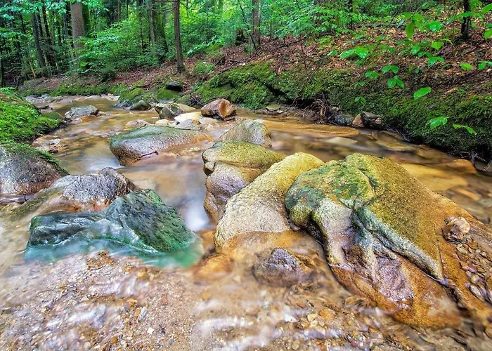 Biohof Laibacher