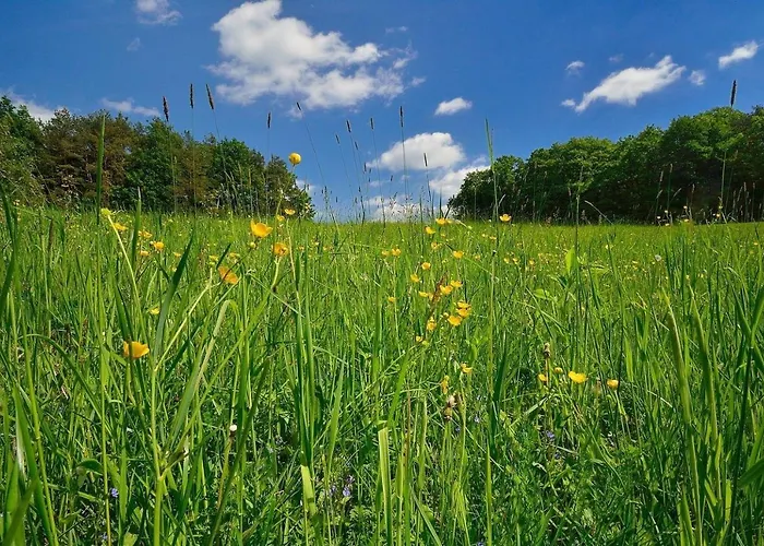 Biohof Laibacher