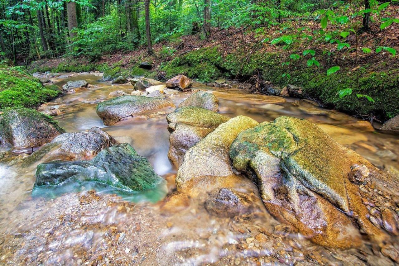 Biohof Laibacher